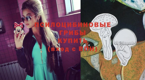 индика Алексеевка