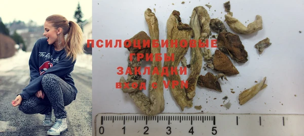 индика Алексеевка