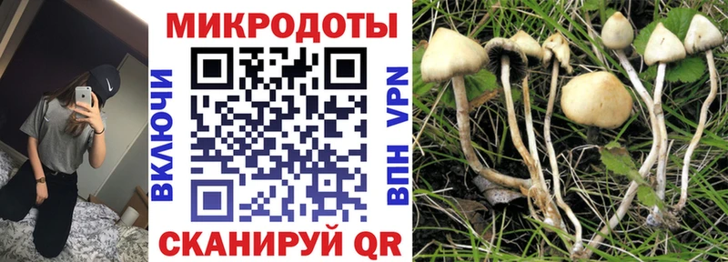 Галлюциногенные грибы Magic Shrooms  Сенгилей 