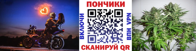 OMG онион  Сенгилей  Шишки марихуана индика 